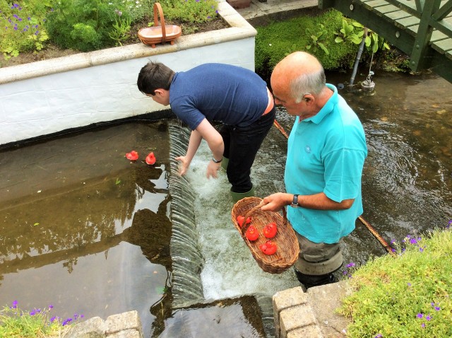 2018 Duck Races the finish | June 2018